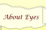About Eyes Page