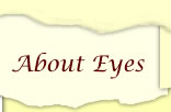About Eyes Page